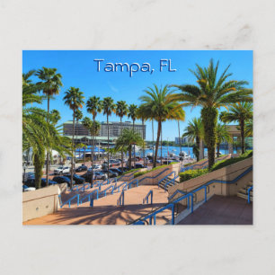 Carte Postale Belle Tampa, Floride