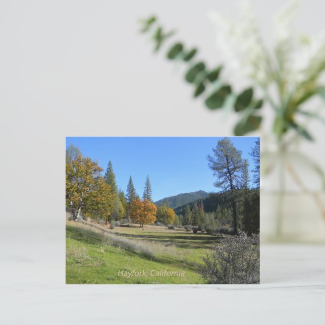 Carte Postale Belle vue dans la vallée.... (Debout devant)