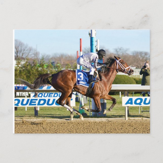 Carte Postale Bellera de Bernardini gagnant Comely Stakes (Devant)