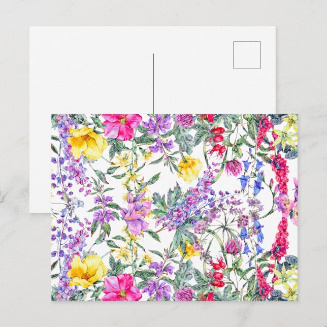 Carte Postale Belles aquarelles fleurs sauvages colorées    (Devant / Derrière)