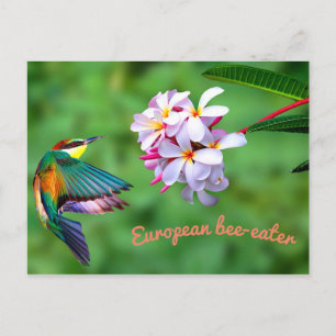 Carte Postale Belles fleurs colorées d'oiseaux