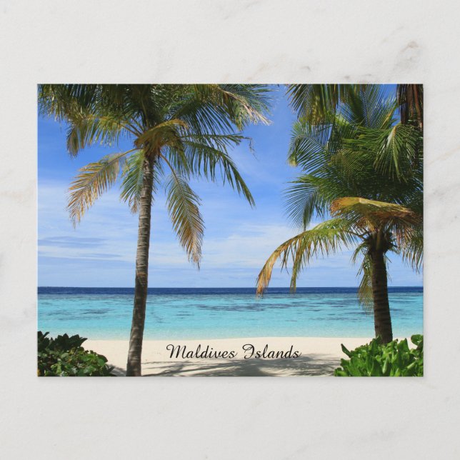 Carte Postale Belles îles Maldives (Devant)