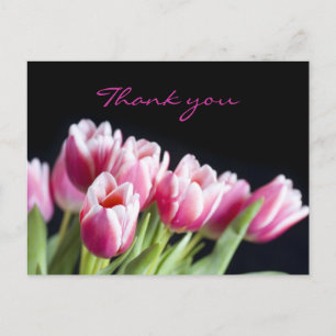 Carte Postale Belles tulipes roses