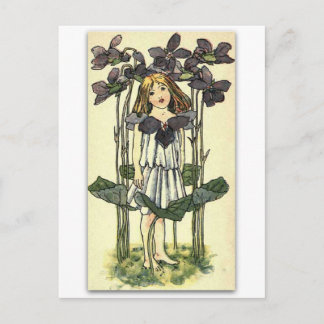 Carte Postale Belles Violets de NELLIE BENSON