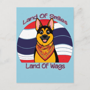 Carte Postale Berger Allemand Au Pays Des Sourires Et Des Queues