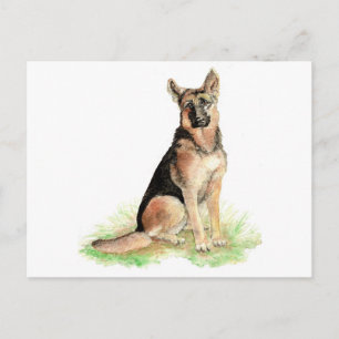 Carte Postale berger allemand, chien, animal, animal