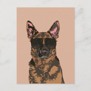 Carte Postale Berger allemand cool pour les amateurs de berger a