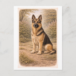 Carte Postale Berger allemand de style vintage