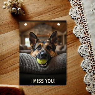 Carte postale Berger allemand Tu me manques