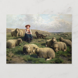 Carte Postale Berger avec mouton dans un paysage