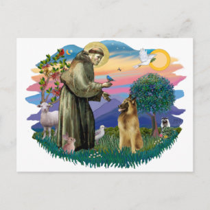 Carte Postale Berger belge Tervuren