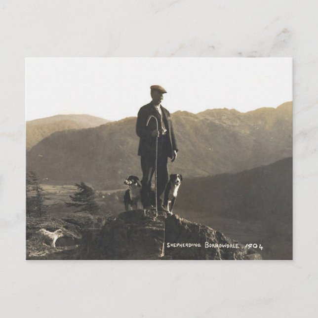 Carte Postale Berger Borrowdale 1904 (Devant)