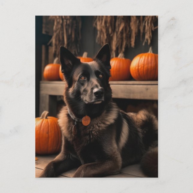 Carte Postale Berger d'automne (Devant)