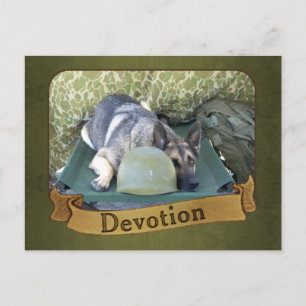 Carte Postale Berger militaire allemand