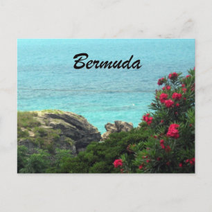 Carte Postale Bermudes