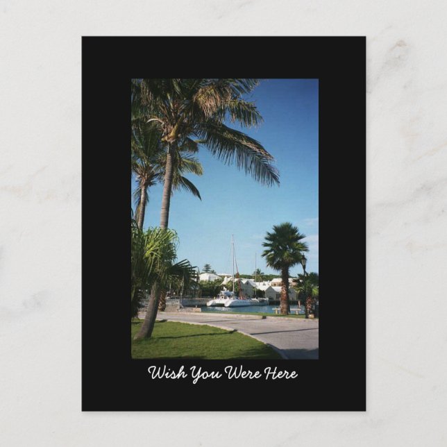 Carte postale Bermudes (Devant)
