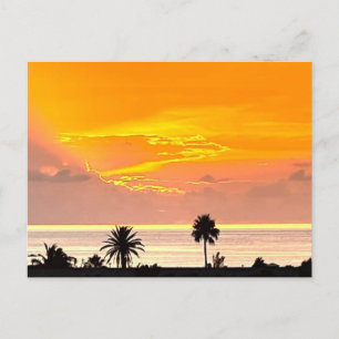 Carte postale Bermudes Sunset