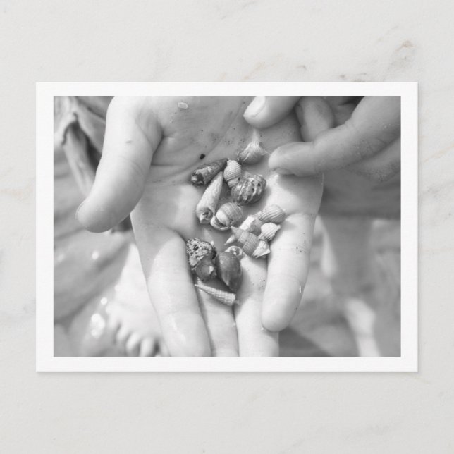 Carte Postale bernard l'ermite (Devant)