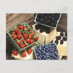 Carte Postale Berries