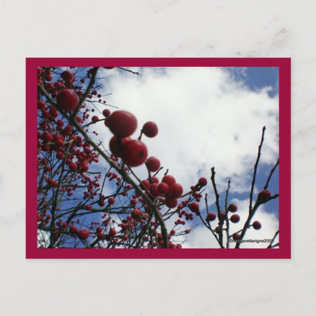 Carte Postale Berries rouges, Ciel bleu (Devant)