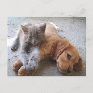 Carte postale Best Friends
