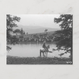 Carte Postale Béton près d'un étang avec deux cowboys.