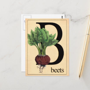 Carte Postale Betteraves anciennes