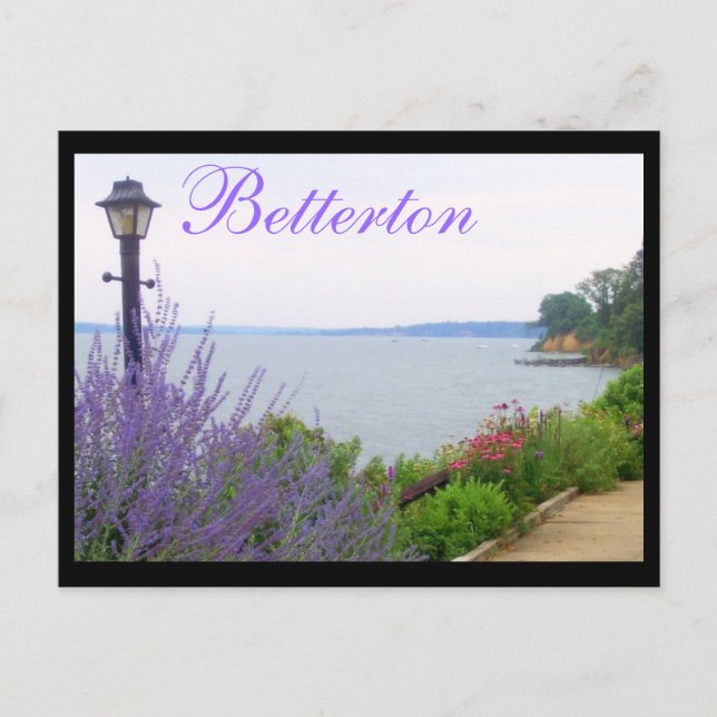 Carte postale Betterton, MD Fleurs d'été (Devant)