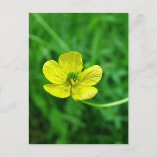 Carte Postale Beurre