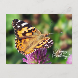 Carte postale Beurre-Papillon Peint Anniversaire