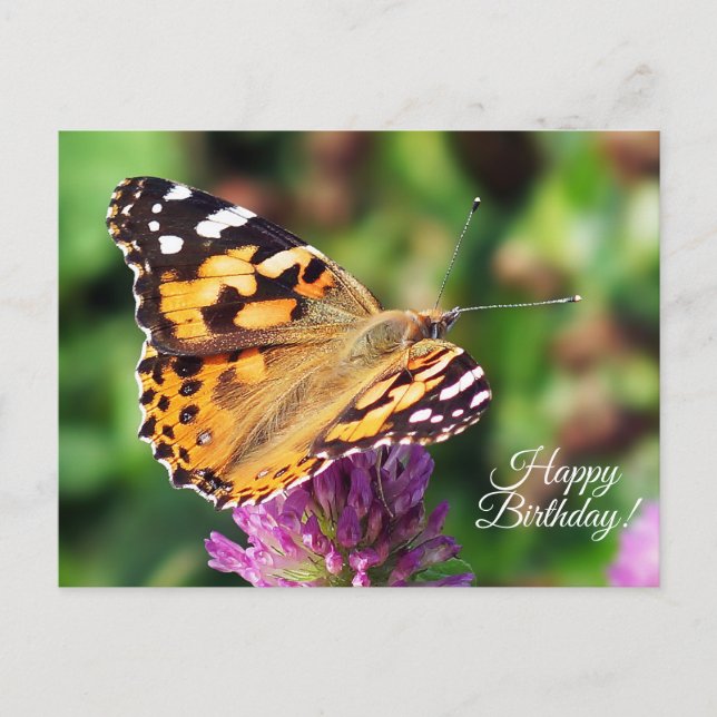 Carte postale Beurre-Papillon Peint Joyeux Anniver (Devant)