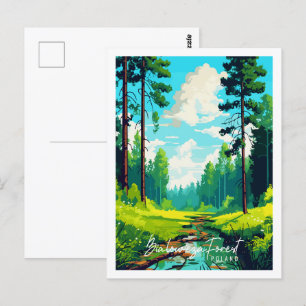 Carte Postale Bialowieza Forêt Pologne lieu de voyage vintage