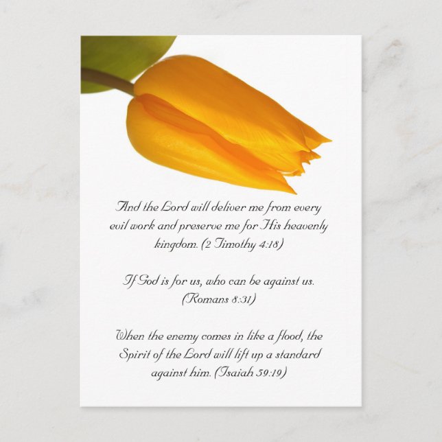 Carte Postale Bible passage, tulipe jaune (Devant)
