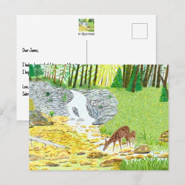 Carte Postale Biche et Cerf (Devant / Derrière)