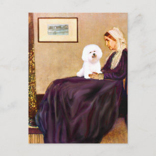 Carte Postale Bichon Frise 1 - La mère de Whistler