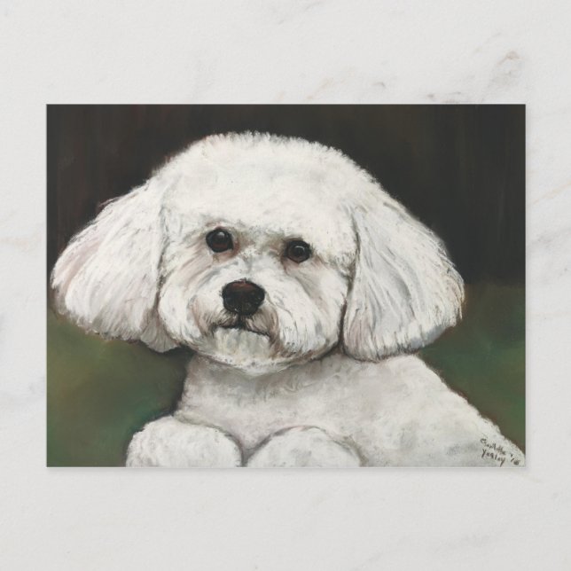 Carte postale Bichon Frise Original Chien Art (Devant)