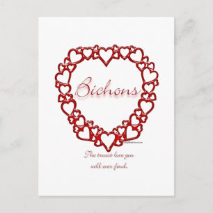Carte Postale Bichon Frise True Love