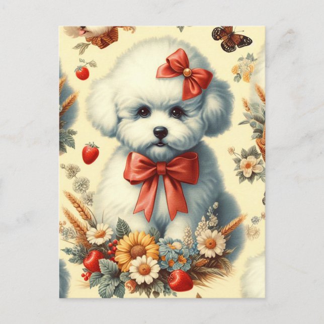 Carte Postale Bichon Frisé Vintage (Devant)