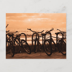 Carte Postale "Bicycles" Postcard