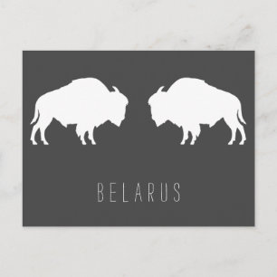 Carte Postale Biélorussie Bison З Biélorusse у б р Б е л  de  Vo