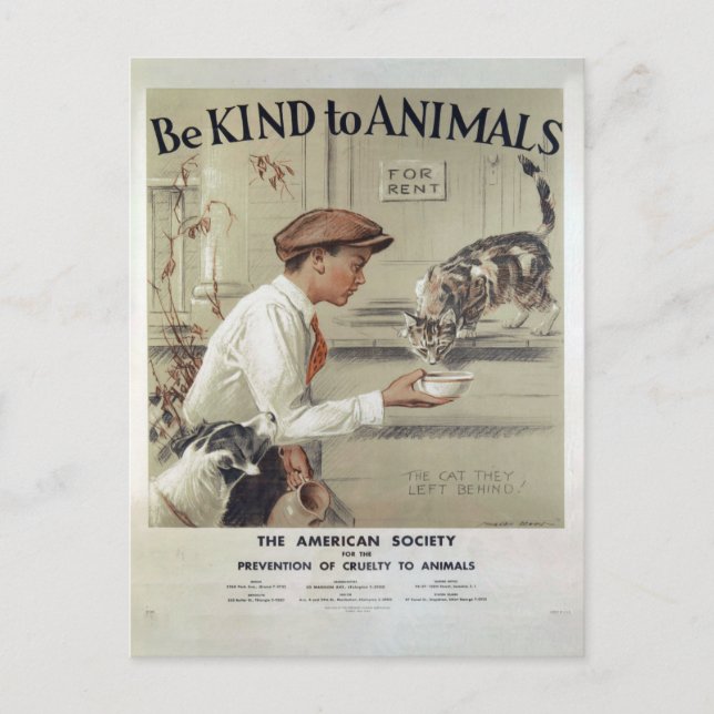 Carte Postale Bien-être animal vintage (Devant)