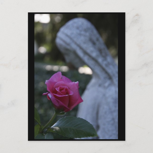 Carte Postale Bienheureuse Vierge Marie & le Rose (Devant)