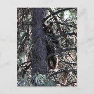 Carte Postale Bienvenue aux Soeurs