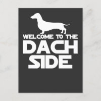 Bienvenue du côté du dachshund
