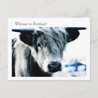 Carte Postale Bienvenue en Ecosse !