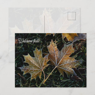 Carte Postale Bienvenue feuilles d'automne