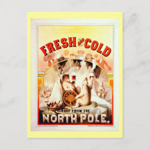 Carte Postale Bière vintage Du Pôle Nord, Fraîche Et Froide