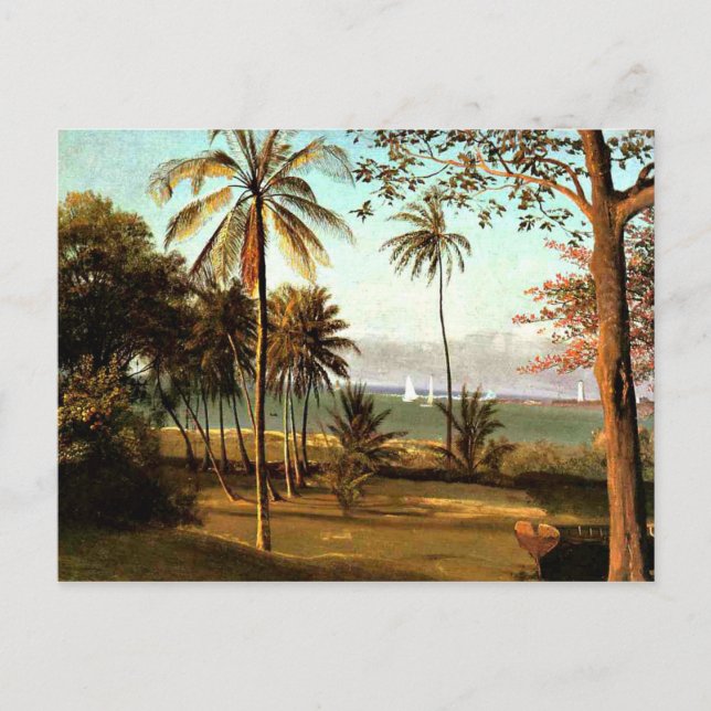Carte Postale Bierstadt - Scène Floride (Devant)