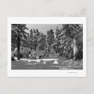 Carte Postale Big Bear Lake, CA dans la vue hivernale sur la nei