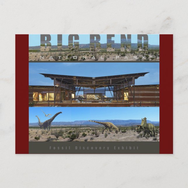 Carte Postale BIG BEND NAT’L PARK-Texas-Fossil (Devant)